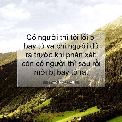 Picture 07 - 1 Ti-mô-thê 5:24 VIE - Có người thì tội lỗi bị bày tỏ và - Bible Verse Picture