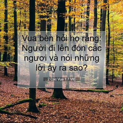 Picture 07 - 2 Các Vua 1:7 VIE - Vua bèn hỏi họ rằng: Người đi lên - Bible Verse Picture