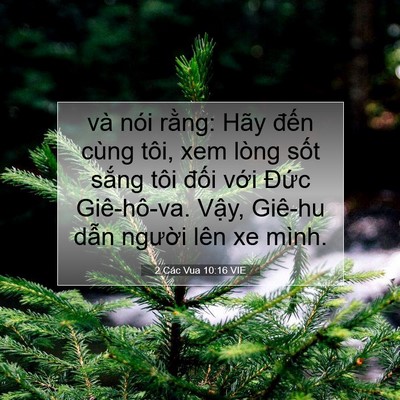 Picture 07 - 2 Các Vua 10:16 VIE - và nói rằng: Hãy đến cùng tôi, xem - Bible Verse Picture