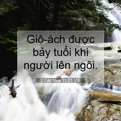 Picture 07 - 2 Các Vua 11:21 VIE - Giô-ách được bảy tuổi khi người lên - Bible Verse Picture