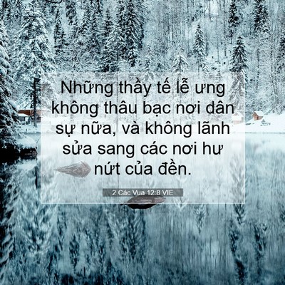Picture 07 - 2 Các Vua 12:8 VIE - Những thầy tế lễ ưng không thâu bạc - Bible Verse Picture