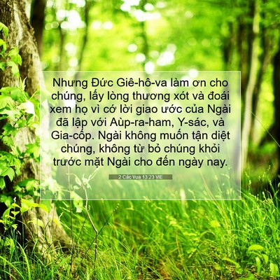 Picture 07 - 2 Các Vua 13:23 VIE - Nhưng Đức Giê-hô-va làm ơn cho chúng, - Bible Verse Picture