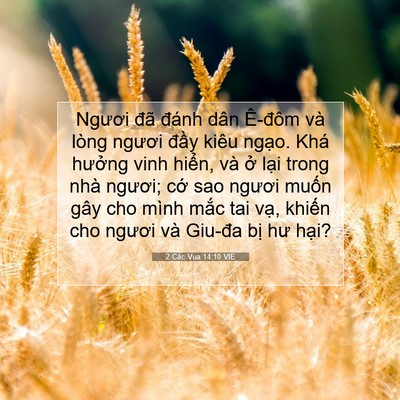 Picture 07 - 2 Các Vua 14:10 VIE - Ngươi đã đánh dân Ê-đôm và lòng - Bible Verse Picture