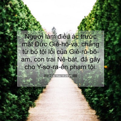 Picture 07 - 2 Các Vua 14:24 VIE - Người làm điều ác trước mặt Đức - Bible Verse Picture