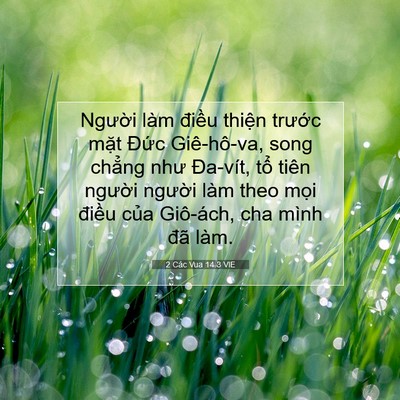 Picture 07 - 2 Các Vua 14:3 VIE - Người làm điều thiện trước mặt - Bible Verse Picture