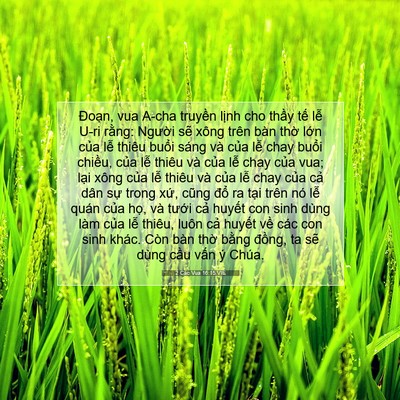 Picture 07 - 2 Các Vua 16:15 VIE - Đoạn, vua A-cha truyền lịnh cho thầy - Bible Verse Picture