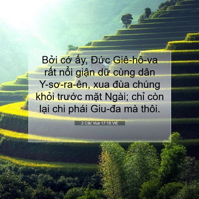 Picture 07 - 2 Các Vua 17:18 VIE - Bởi cớ ấy, Đức Giê-hô-va rất nổi - Bible Verse Picture