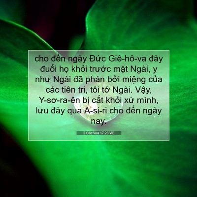 Picture 07 - 2 Các Vua 17:23 VIE - cho đến ngày Đức Giê-hô-va đày đuổi - Bible Verse Picture