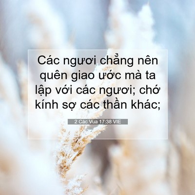 Picture 07 - 2 Các Vua 17:38 VIE - Các ngươi chẳng nên quên giao ước mà - Bible Verse Picture