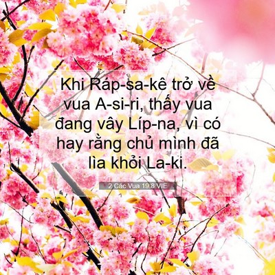 Picture 07 - 2 Các Vua 19:8 VIE - Khi Ráp-sa-kê trở về vua A-si-ri, thấy - Bible Verse Picture