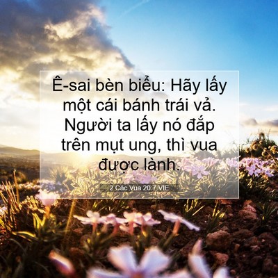 Picture 07 - 2 Các Vua 20:7 VIE - Ê-sai bèn biểu: Hãy lấy một cái bánh - Bible Verse Picture