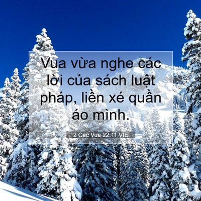Picture 07 - 2 Các Vua 22:11 VIE - Vua vừa nghe các lời của sách luật - Bible Verse Picture