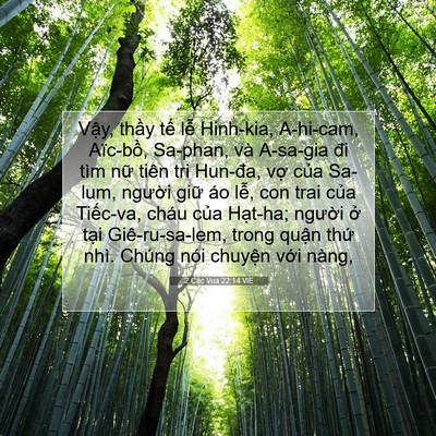 Picture 07 - 2 Các Vua 22:14 VIE - Vậy, thầy tế lễ Hinh-kia, A-hi-cam, - Bible Verse Picture