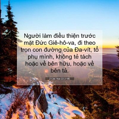 Picture 07 - 2 Các Vua 22:2 VIE - Người làm điều thiện trước mặt - Bible Verse Picture