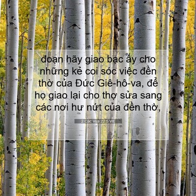 Picture 07 - 2 Các Vua 22:5 VIE - đoạn hãy giao bạc ấy cho những kẻ coi - Bible Verse Picture