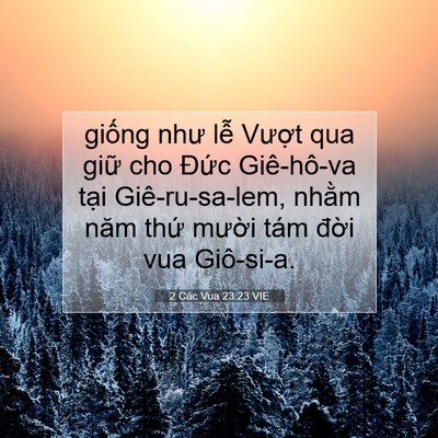 Picture 07 - 2 Các Vua 23:23 VIE - giống như lễ Vượt qua giữ cho Đức - Bible Verse Picture