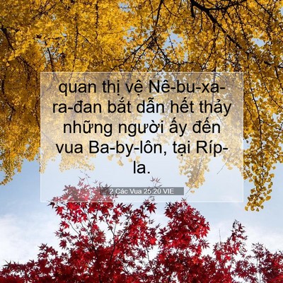 Picture 07 - 2 Các Vua 25:20 VIE - quan thị vệ Nê-bu-xa-ra-đan bắt dẫn - Bible Verse Picture