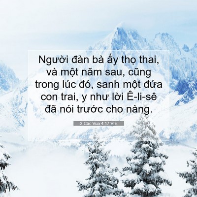 Picture 07 - 2 Các Vua 4:17 VIE - Người đàn bà ấy thọ thai, và một - Bible Verse Picture