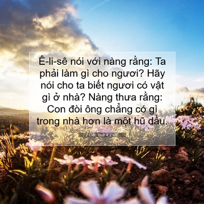 Picture 07 - 2 Các Vua 4:2 VIE - Ê-li-sê nói với nàng rằng: Ta phải làm - Bible Verse Picture