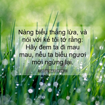 Picture 07 - 2 Các Vua 4:24 VIE - Nàng biểu thắng lừa, và nói với kẻ - Bible Verse Picture