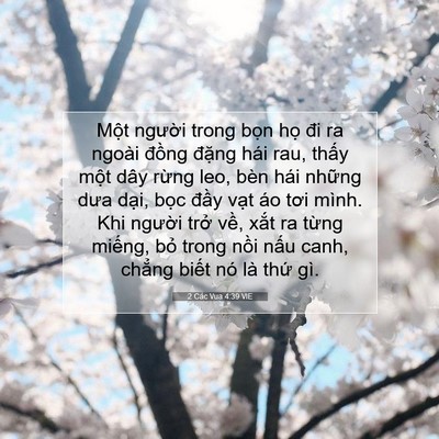 Picture 07 - 2 Các Vua 4:39 VIE - Một người trong bọn họ đi ra ngoài - Bible Verse Picture