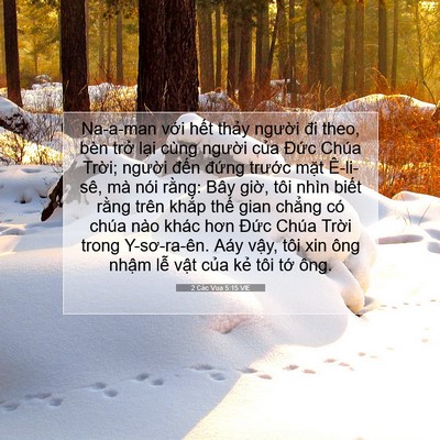 Picture 07 - 2 Các Vua 5:15 VIE - Na-a-man với hết thảy người đi theo, - Bible Verse Picture