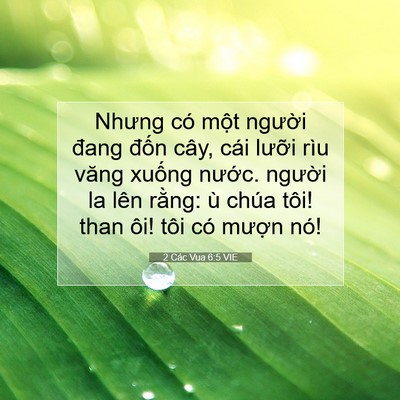 Picture 07 - 2 Các Vua 6:5 VIE - Nhưng có một người đang đốn cây, cái - Bible Verse Picture