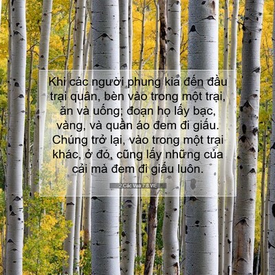 Picture 07 - 2 Các Vua 7:8 VIE - Khi các người phung kia đến đầu trại - Bible Verse Picture