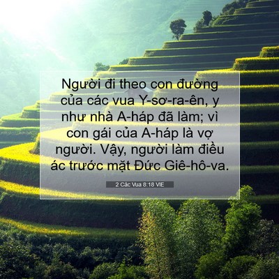 Picture 07 - 2 Các Vua 8:18 VIE - Người đi theo con đường của các vua - Bible Verse Picture