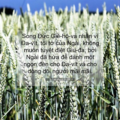 Picture 07 - 2 Các Vua 8:19 VIE - Song Đức Giê-hô-va nhân vì Đa-vít, tôi - Bible Verse Picture
