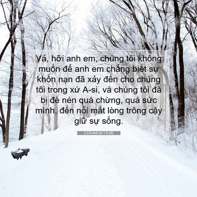 Picture 07 - 2 Cô-rinh-tô 1:8 VIE - Vả, hỡi anh em, chúng tôi không muốn - Bible Verse Picture