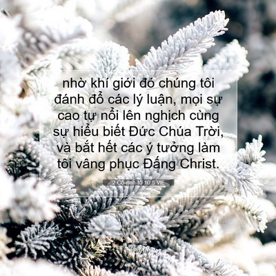 Picture 07 - 2 Cô-rinh-tô 10:5 VIE - nhờ khí giới đó chúng tôi đánh đổ - Bible Verse Picture