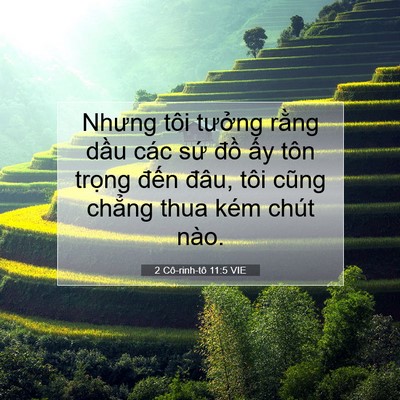 Picture 07 - 2 Cô-rinh-tô 11:5 VIE - Nhưng tôi tưởng rằng dầu các sứ đồ - Bible Verse Picture