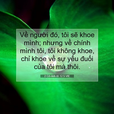 Picture 07 - 2 Cô-rinh-tô 12:5 VIE - Về người đó, tôi sẽ khoe mình; nhưng - Bible Verse Picture