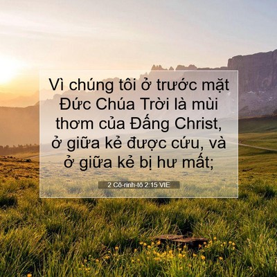 Picture 07 - 2 Cô-rinh-tô 2:15 VIE - Vì chúng tôi ở trước mặt Đức Chúa - Bible Verse Picture