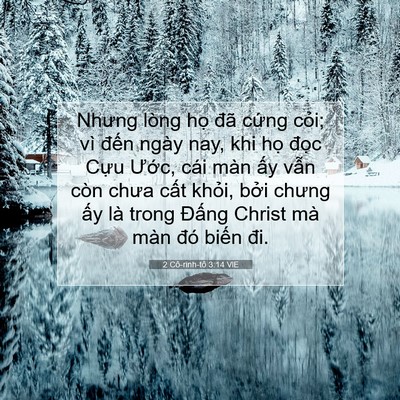 Picture 07 - 2 Cô-rinh-tô 3:14 VIE - Nhưng lòng họ đã cứng cỏi; vì đến - Bible Verse Picture