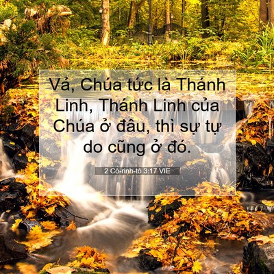 Picture 07 - 2 Cô-rinh-tô 3:17 VIE - Vả, Chúa tức là Thánh Linh, Thánh Linh - Bible Verse Picture