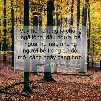Picture 07 - 2 Cô-rinh-tô 4:16 VIE - Vậy nên chúng ta chẳng ngã lòng, dầu - Bible Verse Picture
