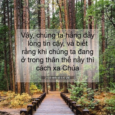 Picture 07 - 2 Cô-rinh-tô 5:6 VIE - Vậy, chúng ta hằng đầy lòng tin cậy, - Bible Verse Picture
