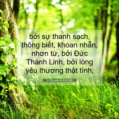 Picture 07 - 2 Cô-rinh-tô 6:6 VIE - bởi sự thanh sạch, thông biết, khoan - Bible Verse Picture