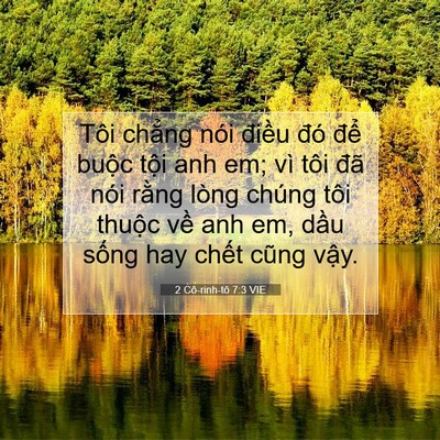 Picture 07 - 2 Cô-rinh-tô 7:3 VIE - Tôi chẳng nói điều đó để buộc tội - Bible Verse Picture