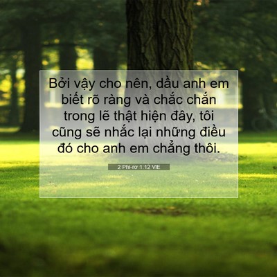 Picture 07 - 2 Phi-rơ 1:12 VIE - Bởi vậy cho nên, dầu anh em biết rõ - Bible Verse Picture