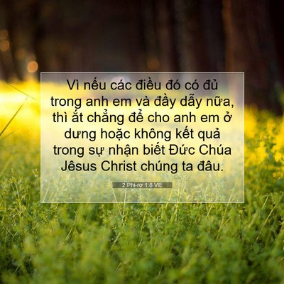 Picture 07 - 2 Phi-rơ 1:8 VIE - Vì nếu các điều đó có đủ trong anh - Bible Verse Picture
