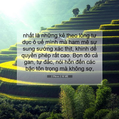 Picture 07 - 2 Phi-rơ 2:10 VIE - nhất là những kẻ theo lòng tư dục ô - Bible Verse Picture