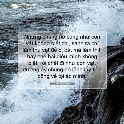 Picture 07 - 2 Phi-rơ 2:12 VIE - Nhưng chúng nó cũng như con vật không - Bible Verse Picture