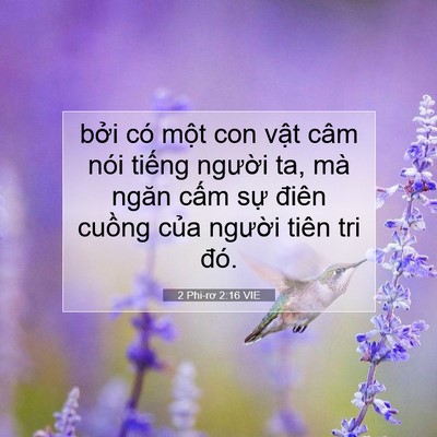 Picture 07 - 2 Phi-rơ 2:16 VIE - bởi có một con vật câm nói tiếng - Bible Verse Picture