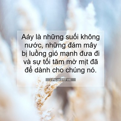 Picture 07 - 2 Phi-rơ 2:17 VIE - Aáy là những suối không nước, những - Bible Verse Picture