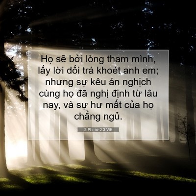 Picture 07 - 2 Phi-rơ 2:3 VIE - Họ sẽ bởi lòng tham mình, lấy lời - Bible Verse Picture
