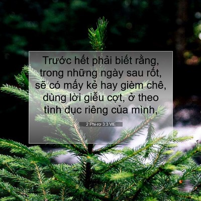 Picture 07 - 2 Phi-rơ 3:3 VIE - Trước hết phải biết rằng, trong - Bible Verse Picture