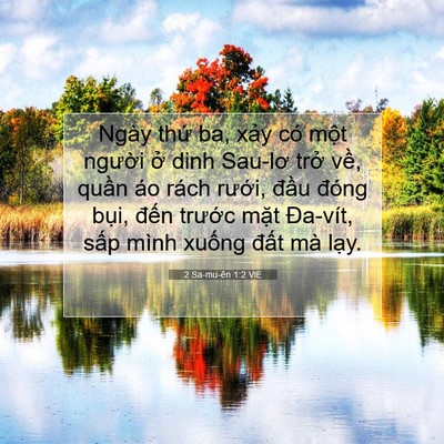 Picture 07 - 2 Sa-mu-ên 1:2 VIE - Ngày thứ ba, xảy có một người ở dinh - Bible Verse Picture